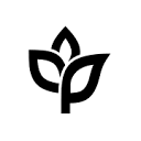 Ankorstore Logo